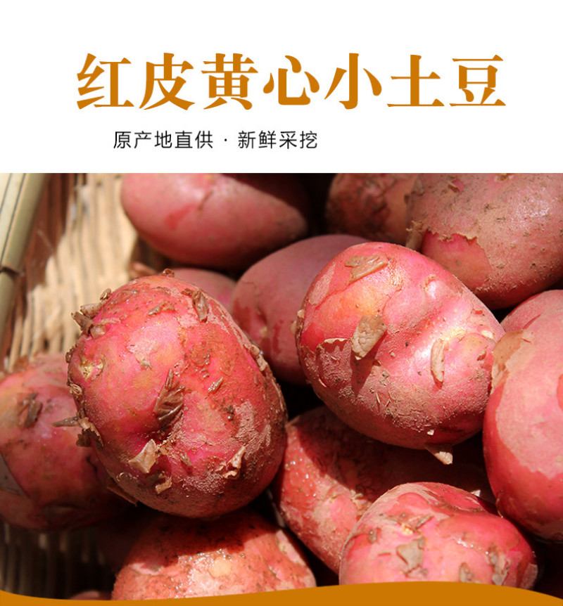 有机红皮黄心土豆，香糯，富硒江水灌溉而出.品质决定价格