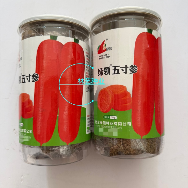 绿领五寸参胡萝卜种子红皮红肉芯脆甜三红胡罗卜种籽秋季蔬菜