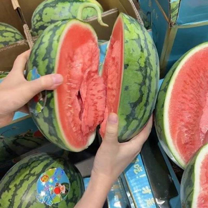【精选】甘美4k西瓜无籽西瓜基地直发保质保量全国发货