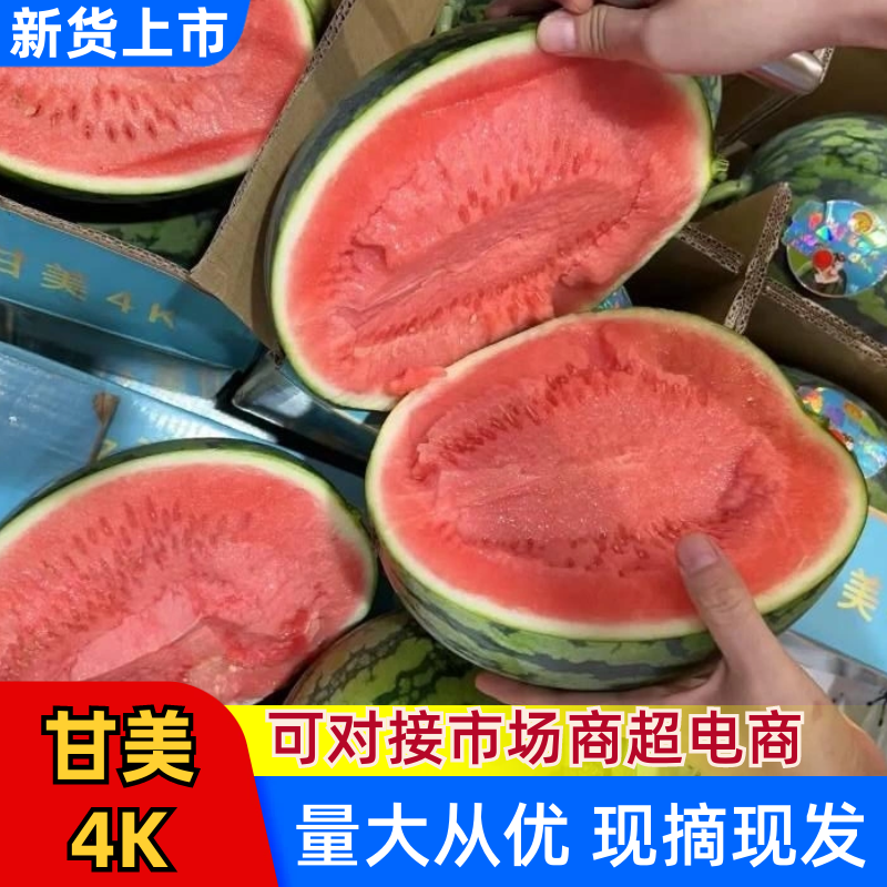 【精选】甘美4k西瓜无籽西瓜基地直发保质保量全国发货