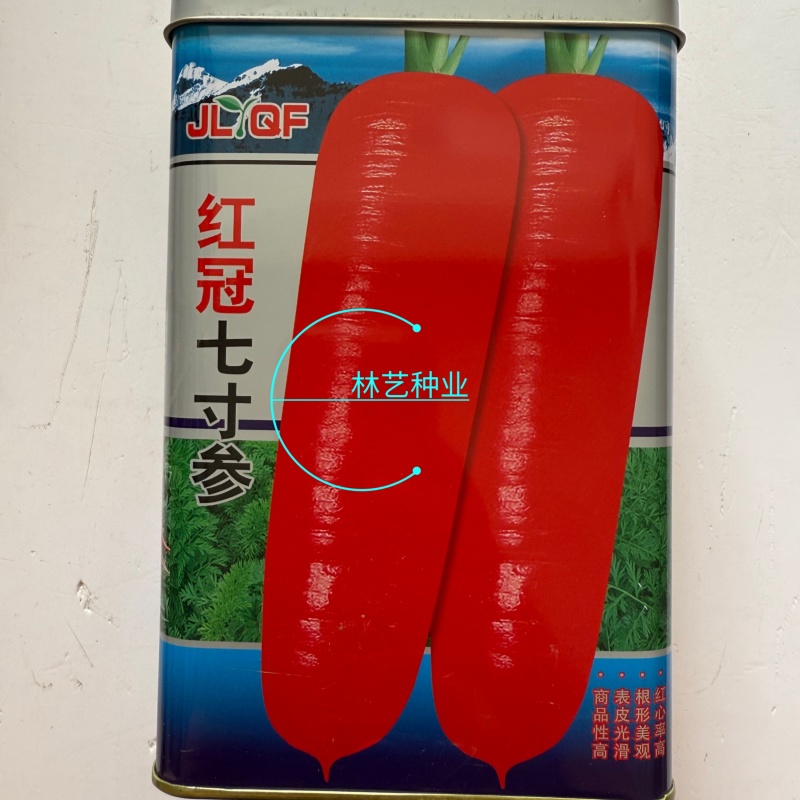 红冠七寸参胡萝卜种子生吃红萝卜胡萝卜种子脆甜秋季蔬菜种孑