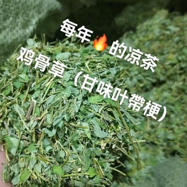 鸡骨草，道地药材，质优价实，品质保证。支持视频看货