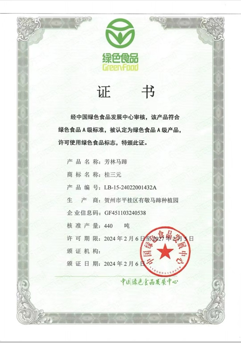 广西马蹄桂蹄3号二代组培苗好品好种金奖水果马蹄荸荠苗
