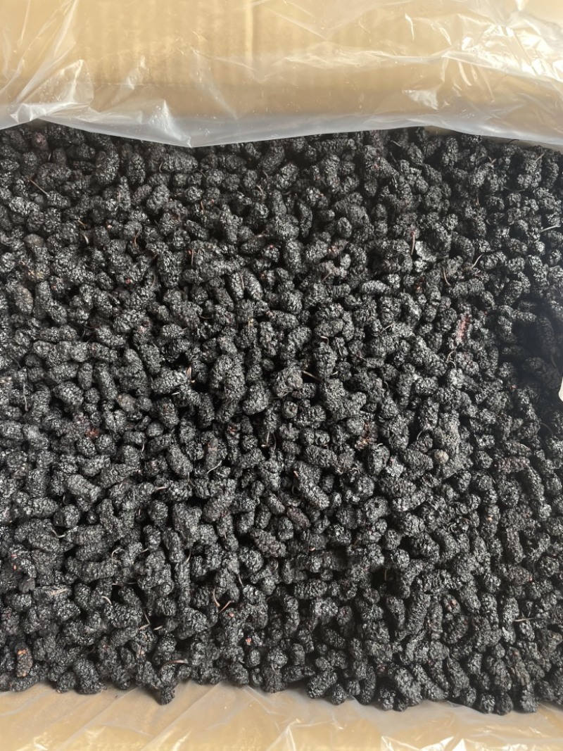 【推荐】桑葚干四川精选水洗干净大果营养价值高