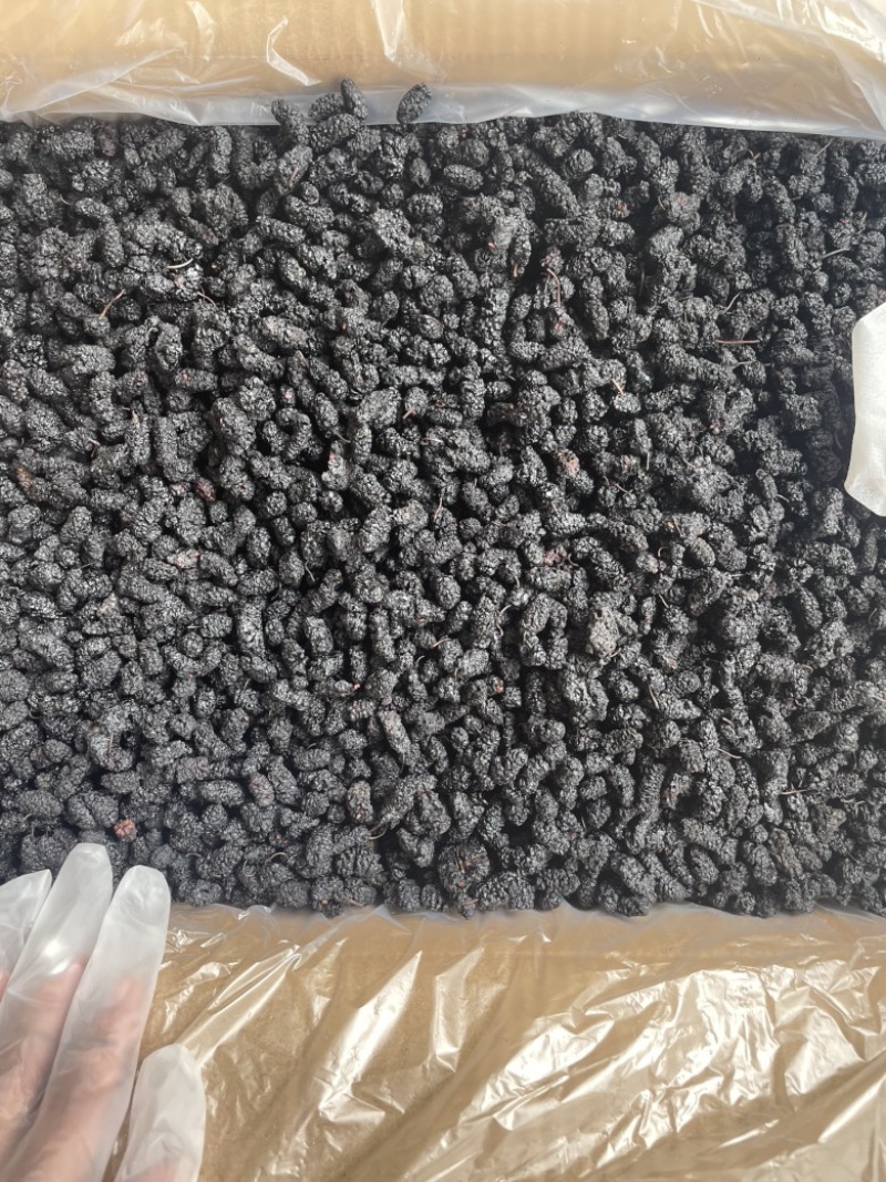 【推荐】桑葚干四川精选水洗干净大果营养价值高