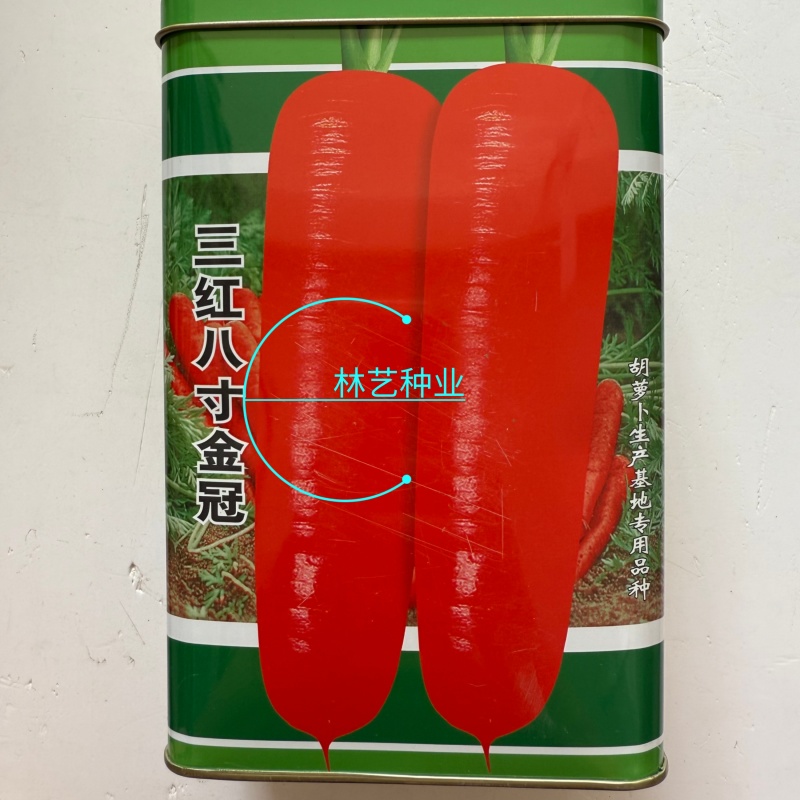 三红八寸金冠胡萝卜种子鲜红色肉质细嫩口感脆甜