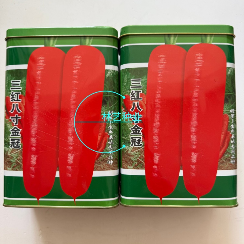 三红八寸金冠胡萝卜种子鲜红色肉质细嫩口感脆甜