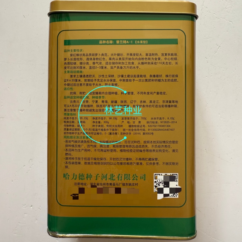 普兰特水果型胡萝卜种子高产夏秋栽培紫红棒状高品质