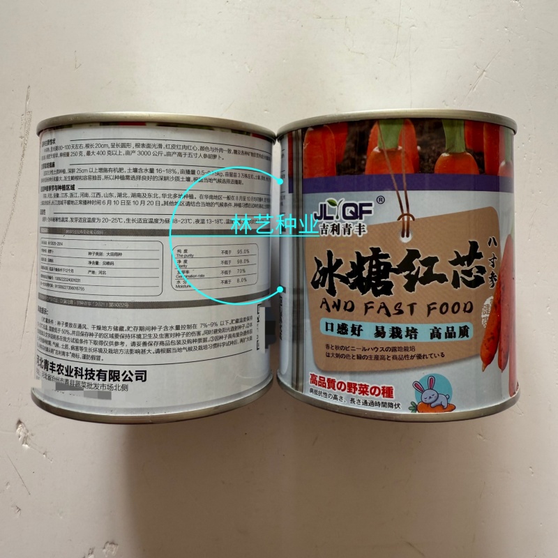 冰糖红芯八寸参胡萝卜种子口感好易栽培高品质红皮红芯