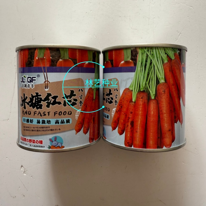 冰糖红芯八寸参胡萝卜种子口感好易栽培高品质红皮红芯