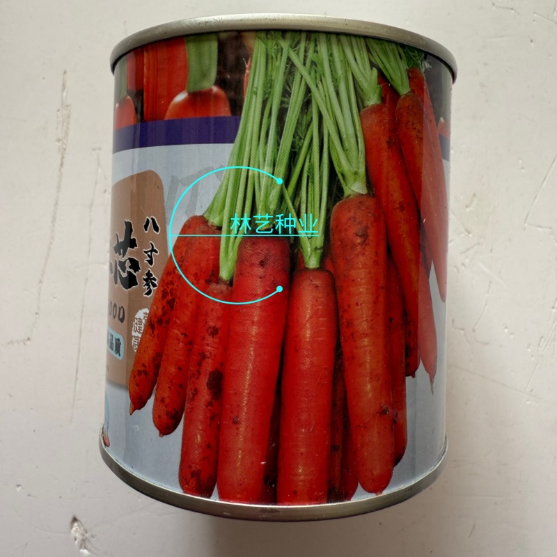 冰糖红芯八寸参胡萝卜种子口感好易栽培高品质红皮红芯