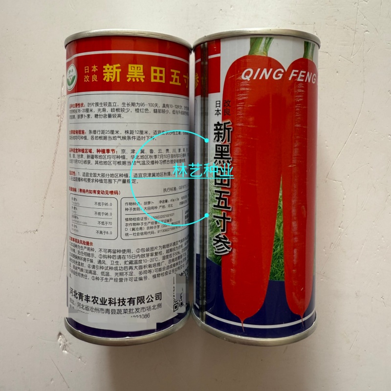 新黑田五寸参胡萝卜种子进口胡萝卜种子日本改良高产胡萝卜籽