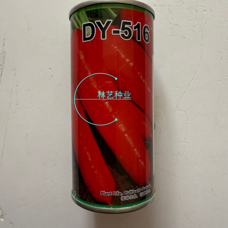 大禹牌DY-516胡萝卜种子中早熟品种耐热抗病性好