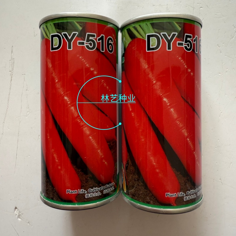 大禹牌DY-516胡萝卜种子中早熟品种耐热抗病性好