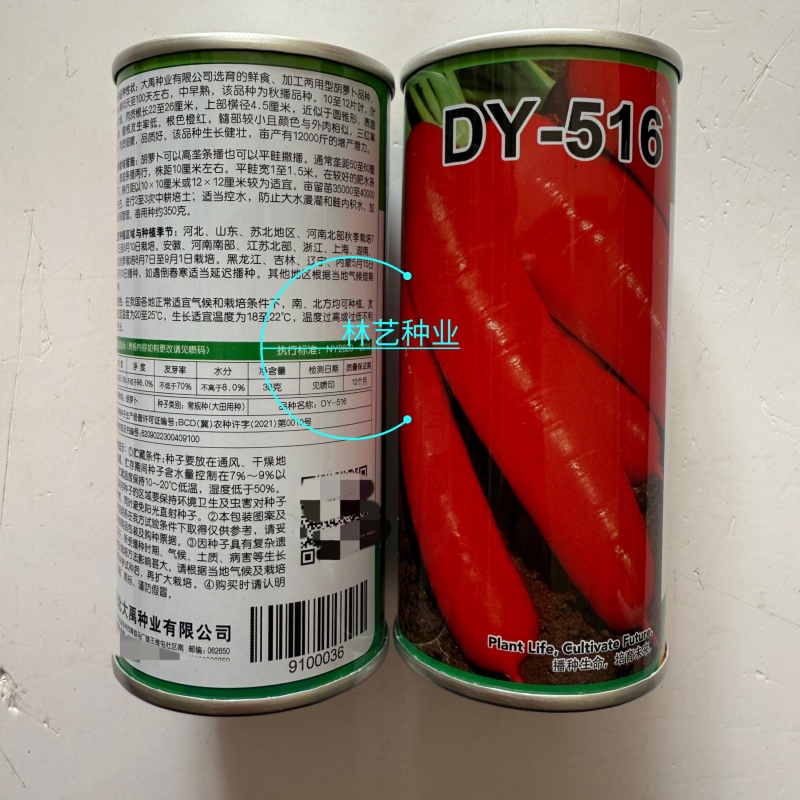 大禹牌DY-516胡萝卜种子中早熟品种耐热抗病性好