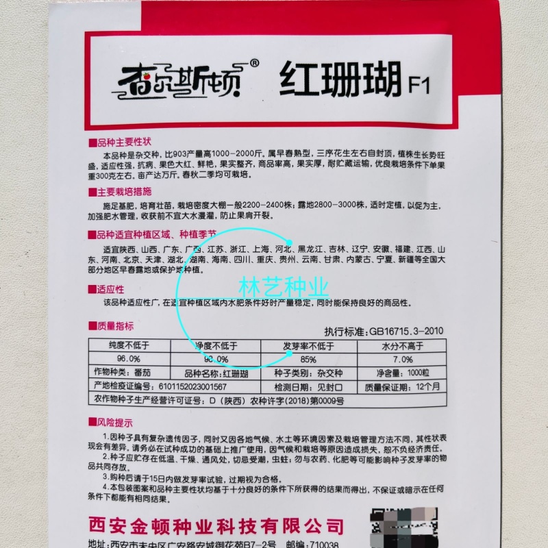 红珊瑚西红柿种子杂交自封顶大红番茄种籽孑春秋播种
