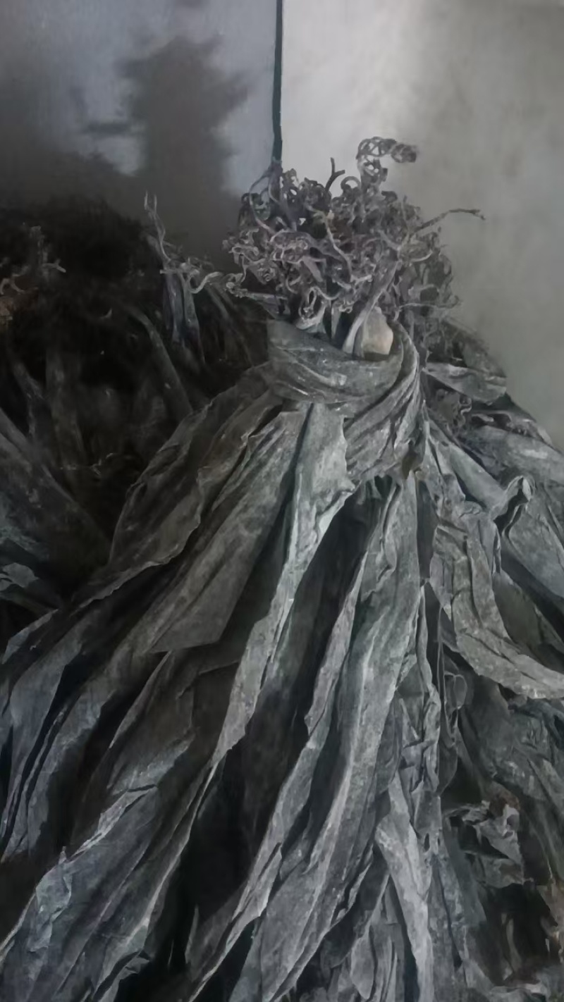 水泥地晒场海带，无沙，无任何杂质质量保证厂家直销欢迎订购