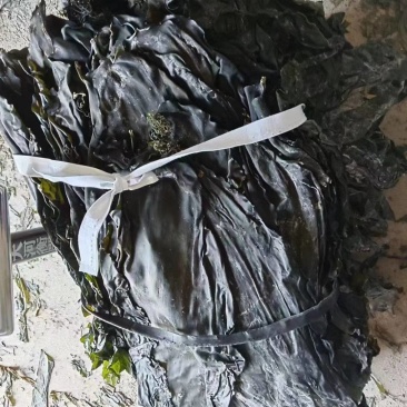 水泥地晒场海带,无沙,无任何杂质质量保证厂家直销欢迎订购