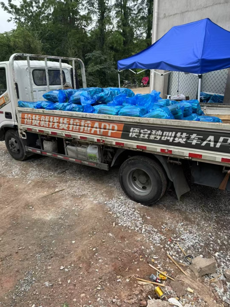 《美人茭》精品茭白大量有货一手货源可全国发货