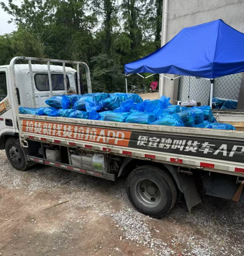 《推荐》美人茭基地直供自产自销一手货源全国发货中