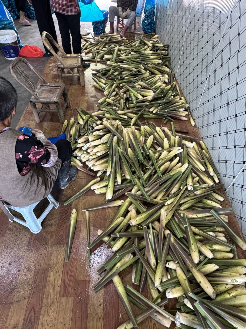 《推荐》美人茭基地直供自产自销一手货源全国发货中