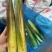 《推荐》双季茭白/浙江茭白/自产自销/货源充足/全国发货