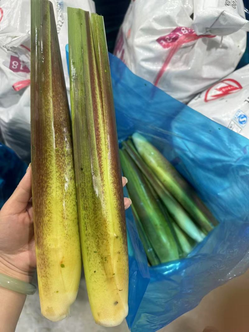 《推荐》双季茭白/浙江茭白/自产自销/货源充足/全国发货