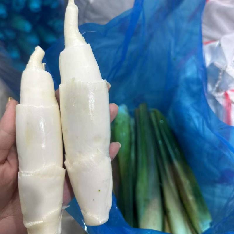 浙大二号茭白/浙江茭白/自产自销/对接电商～批发～商超等