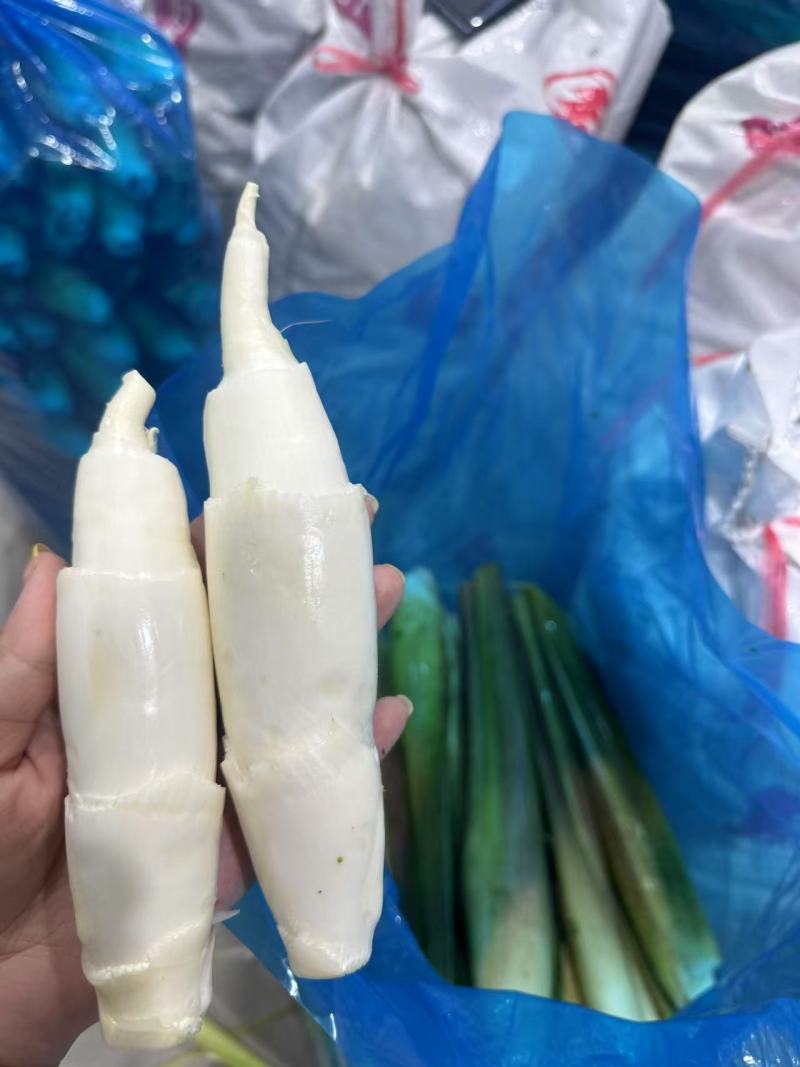浙大二号茭白/浙江茭白/自产自销/对接电商～批发～商超等