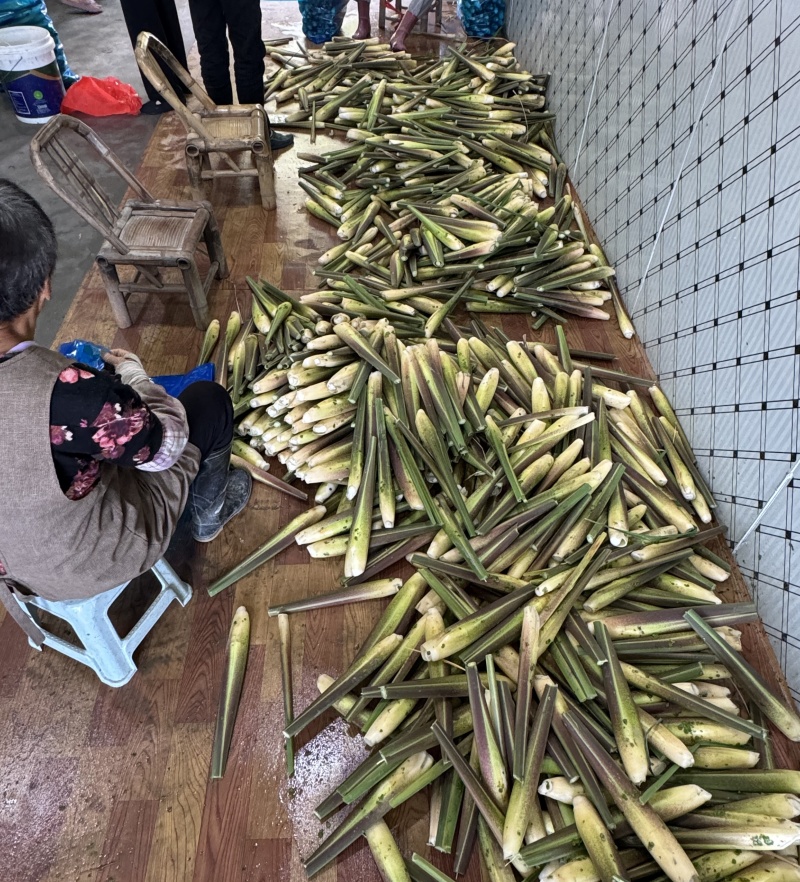 浙大二号茭白/浙江茭白/自产自销/对接电商～批发～商超等