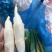 《推荐》浙江浙大三号茭白/自产自销/量大从优/电商批发