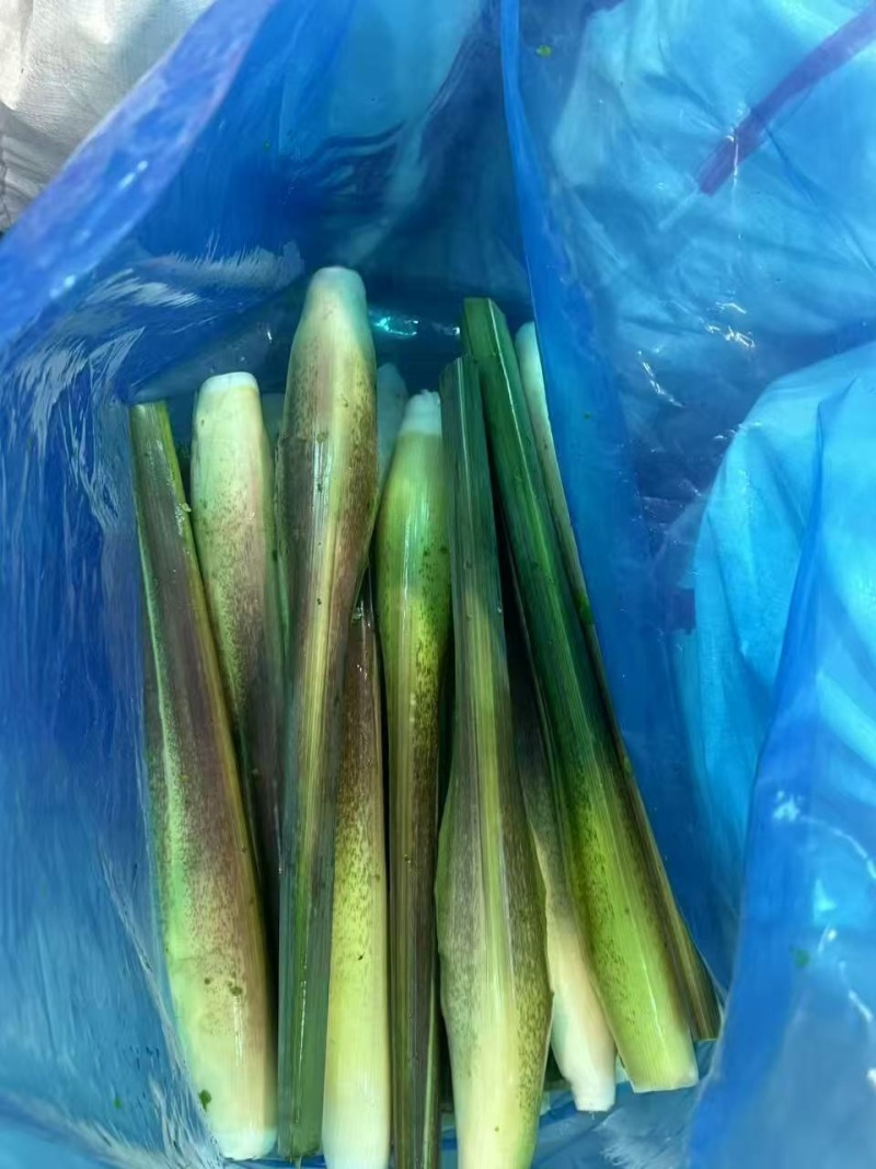 《推荐》浙江浙大三号茭白/自产自销/量大从优/电商批发