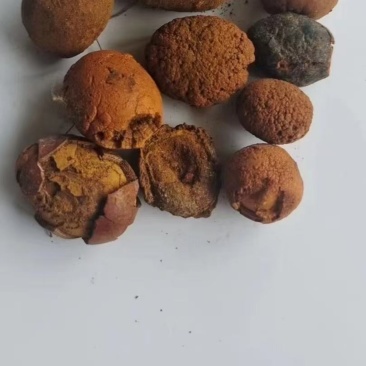 牛黃