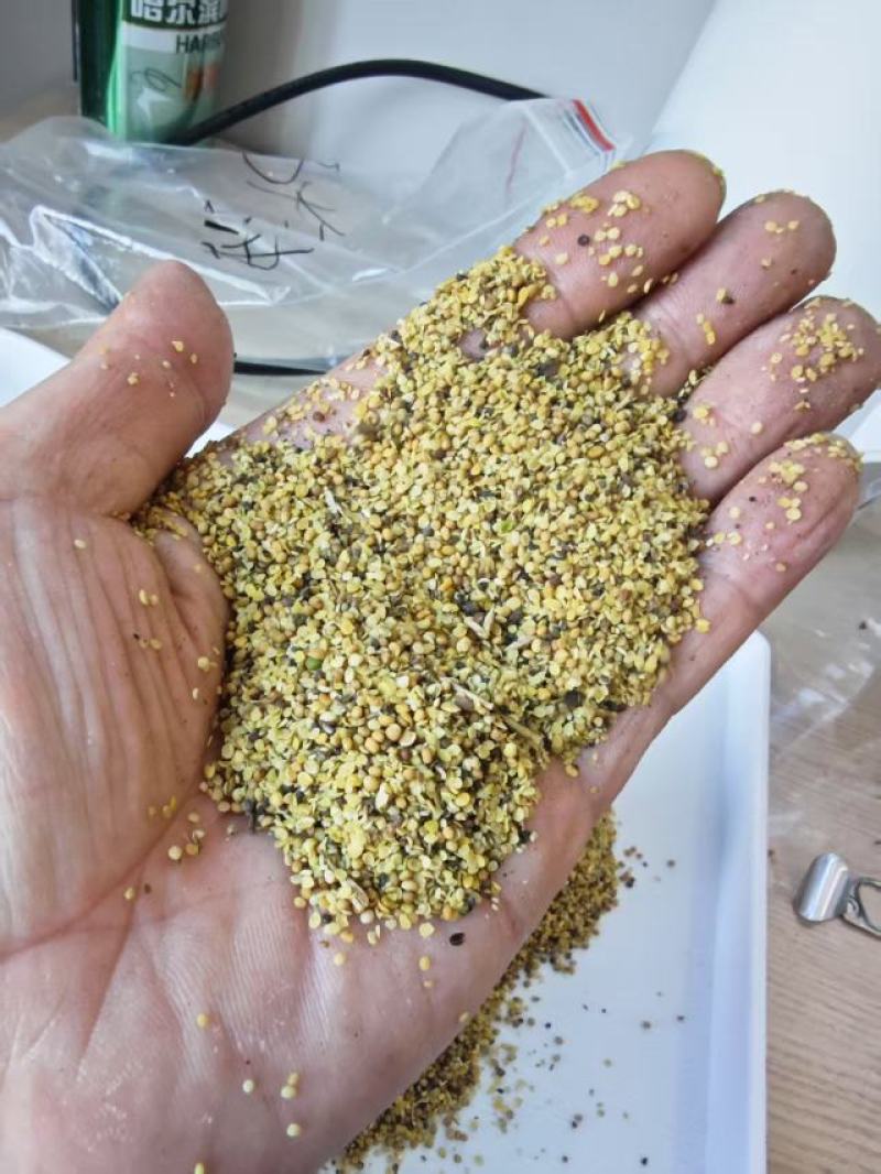 菜籽破碎粒