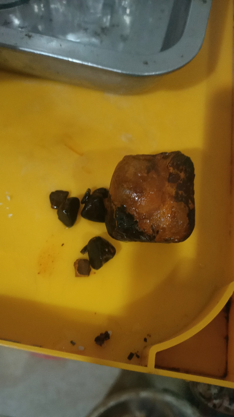 天然牛黄
