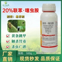 20%噻虫胺嗪联苯菊酯蓟马盲蝽蟓小麦蚜虫韭蛆稻飞虱白粉虱