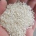陈杂交***********