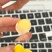 精品南丰甲鱼蛋，接集采以及一件代发