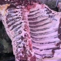 新鲜原切牛肉，肋条，上脑，吊龙，纯干无水，牛霖腱子里脊外