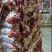 吊龙，牛腹肉，牛里脊，每天现宰，（鲜肉）空全国