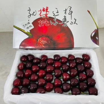 山东樱桃美早大樱桃产地直销