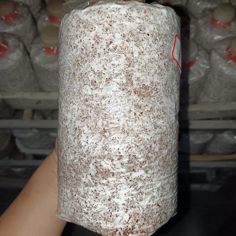 菌包，菌棒，工厂化生产，滑子菇，平菇，榆黄蘑，茶树菇
