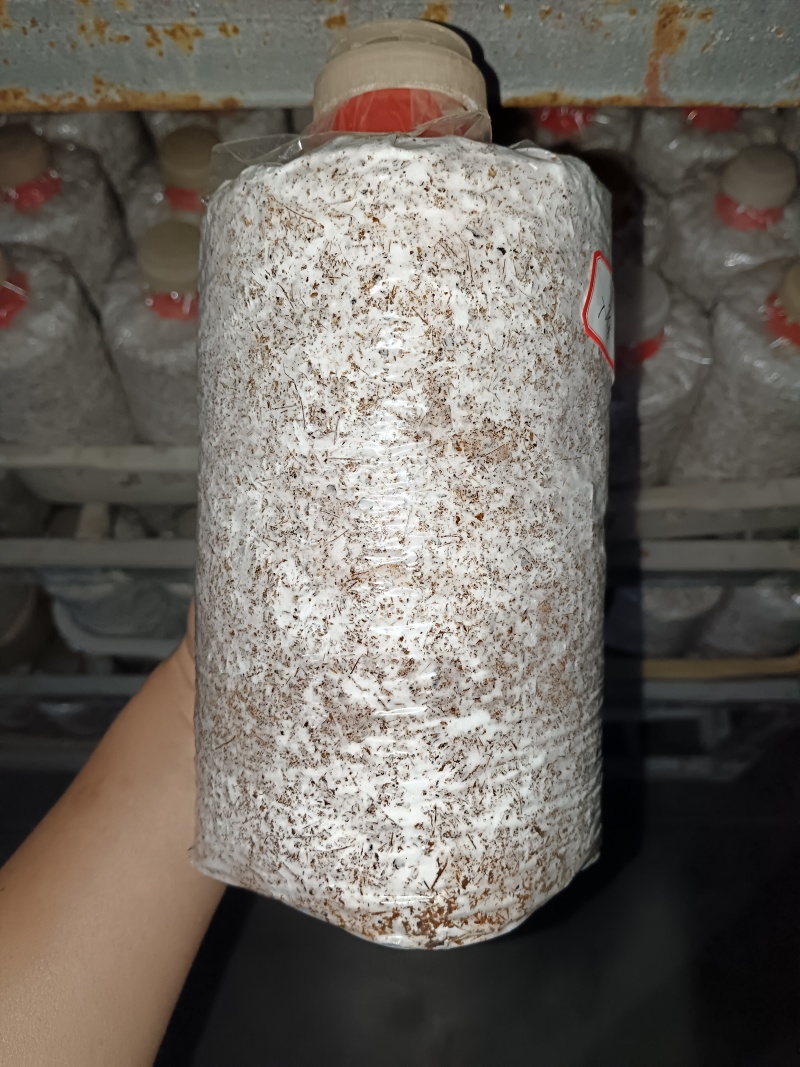 菌包，菌棒，工厂化生产，滑子菇，平菇，榆黄蘑，茶树菇