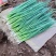 东北香葱，小葱，大量有货，对接全国客商，价格美丽！！！