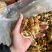 滑子菇干菇，烘干滑菇，