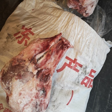 猪头骨