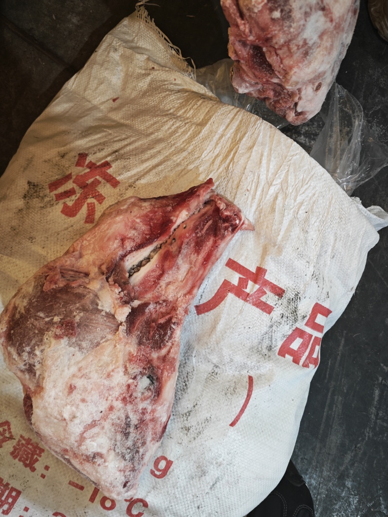 猪头骨