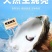 野生牡蛎壳，每个10公分-15公分