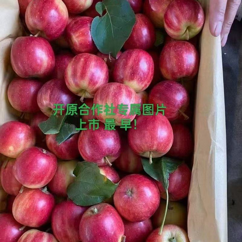 123苹果产地专业精品电视台来采访过，产地一手货！
