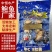 二去鲍鱼鲜活鲍鱼去肠速冻海鲜冻品中C商用可贴牌定批发